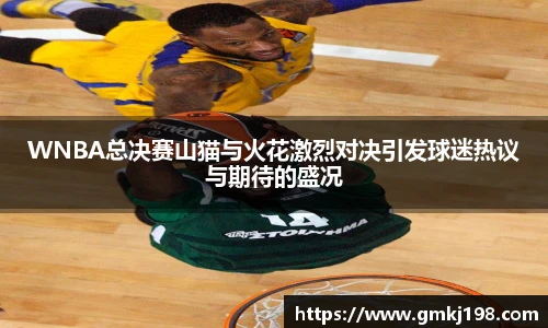 低调看球WNBA总决赛山猫与火花激烈对决引发球迷热议与期待的盛况
